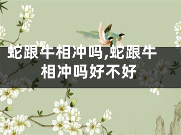 蛇跟牛相冲吗,蛇跟牛相冲吗好不好