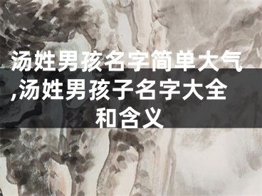 汤姓男孩名字简单大气,汤姓男孩子名字大全和含义