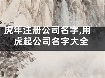 虎年注册公司名字,用虎起公司名字大全