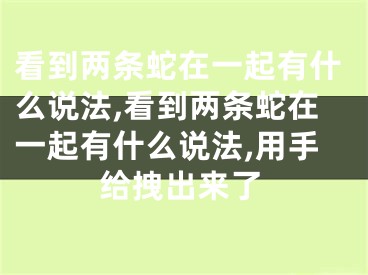 看到两条蛇在一起有什么说法,看到两条蛇在一起有什么说法,用手给拽出来了