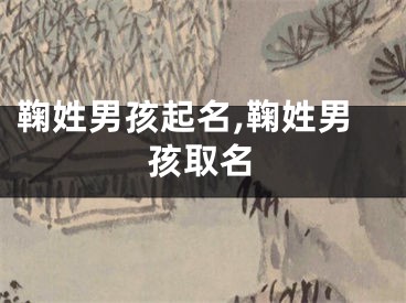 鞠姓男孩起名,鞠姓男孩取名