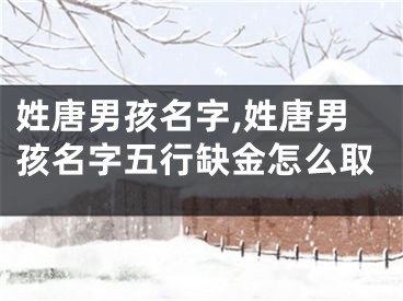 姓唐男孩名字,姓唐男孩名字五行缺金怎么取