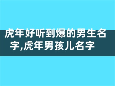 虎年好听到爆的男生名字,虎年男孩儿名字