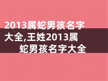 2013属蛇男孩名字大全,王姓2013属蛇男孩名字大全