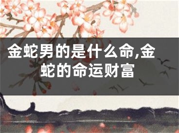 金蛇男的是什么命,金蛇的命运财富