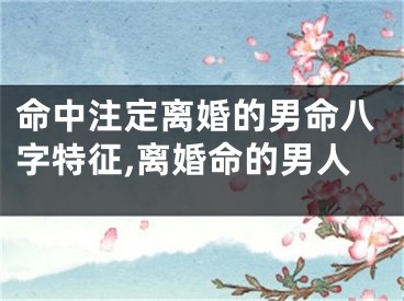 命中注定离婚的男命八字特征,离婚命的男人