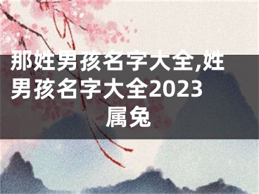 那姓男孩名字大全,姓男孩名字大全2023属兔