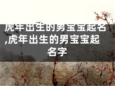 虎年出生的男宝宝起名,虎年出生的男宝宝起名字