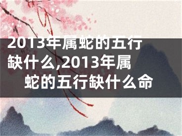 2013年属蛇的五行缺什么,2013年属蛇的五行缺什么命