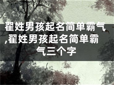 翟姓男孩起名简单霸气,翟姓男孩起名简单霸气三个字