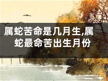 属蛇苦命是几月生,属蛇最命苦出生月份