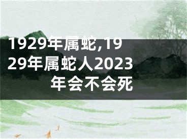 1929年属蛇,1929年属蛇人2023年会不会死