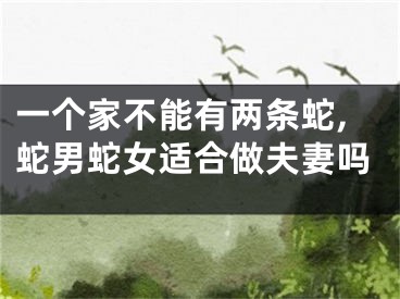 一个家不能有两条蛇,蛇男蛇女适合做夫妻吗