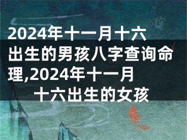 2024年十一月十六出生的男孩八字查询命理,2024年十一月十六出生的女孩
