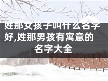 姓那女孩子叫什么名字好,姓那男孩有寓意的名字大全