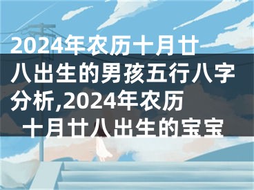 2024年农历十月廿八出生的男孩五行八字分析,2024年农历十月廿八出生的宝宝