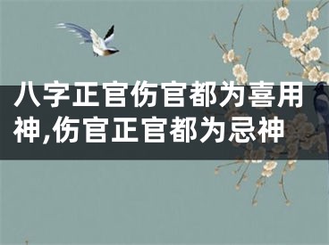 八字正官伤官都为喜用神,伤官正官都为忌神