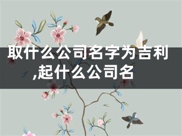 取什么公司名字为吉利,起什么公司名