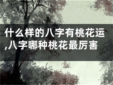 什么样的八字有桃花运,八字哪种桃花最厉害
