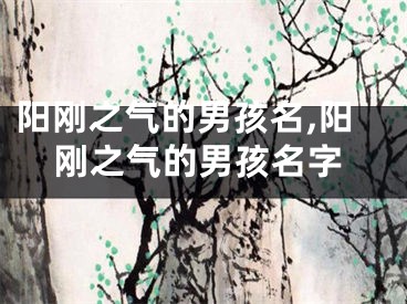 阳刚之气的男孩名,阳刚之气的男孩名字