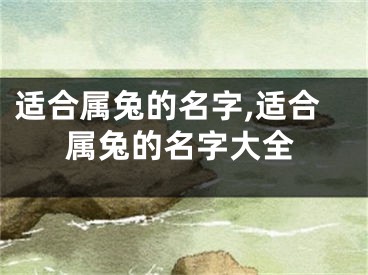 适合属兔的名字,适合属兔的名字大全