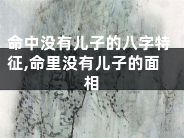 命中没有儿子的八字特征,命里没有儿子的面相