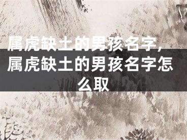 属虎缺土的男孩名字,属虎缺土的男孩名字怎么取