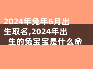 2024年兔年6月出生取名,2024年出生的兔宝宝是什么命