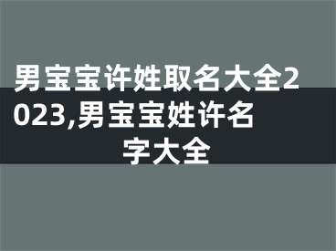 男宝宝许姓取名大全2023,男宝宝姓许名字大全