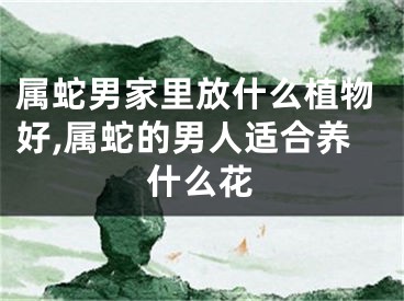 属蛇男家里放什么植物好,属蛇的男人适合养什么花