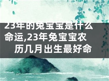 23年的兔宝宝是什么命运,23年兔宝宝农历几月出生最好命