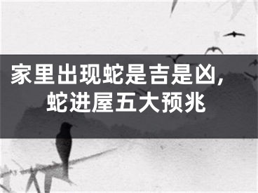 家里出现蛇是吉是凶,蛇进屋五大预兆