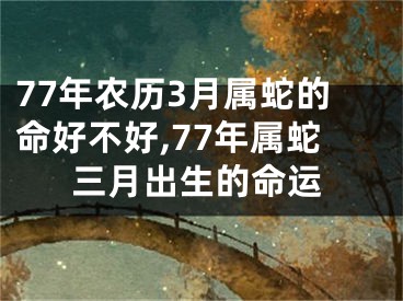 77年农历3月属蛇的命好不好,77年属蛇三月出生的命运