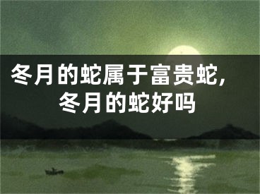 冬月的蛇属于富贵蛇,冬月的蛇好吗