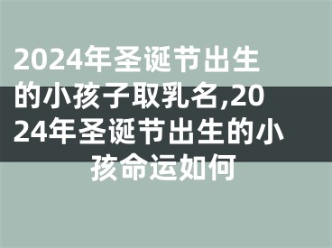 2024年圣诞节出生的小孩子取乳名,2024年圣诞节出生的小孩命运如何