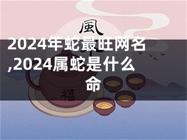 2024年蛇最旺网名,2024属蛇是什么命