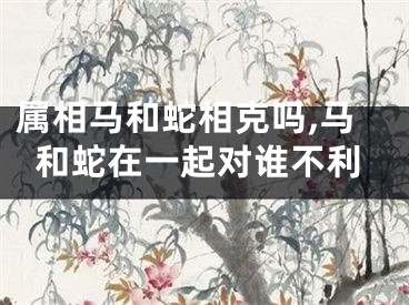 属相马和蛇相克吗,马和蛇在一起对谁不利