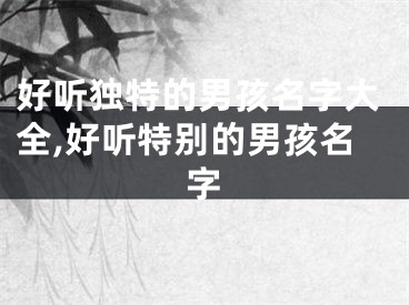 好听独特的男孩名字大全,好听特别的男孩名字