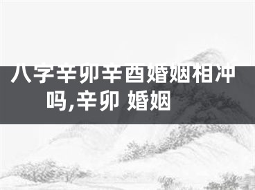 八字辛卯辛酉婚姻相冲吗,辛卯 婚姻