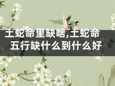 土蛇命里缺啥,土蛇命五行缺什么到什么好