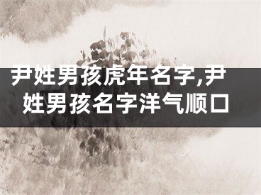 尹姓男孩虎年名字,尹姓男孩名字洋气顺口