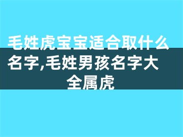 毛姓虎宝宝适合取什么名字,毛姓男孩名字大全属虎