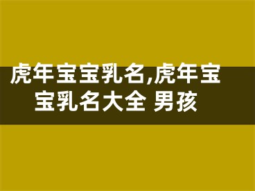 虎年宝宝乳名,虎年宝宝乳名大全 男孩