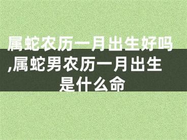 属蛇农历一月出生好吗,属蛇男农历一月出生是什么命