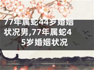 77年属蛇44岁婚姻状况男,77年属蛇45岁婚姻状况