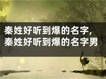 秦姓好听到爆的名字,秦姓好听到爆的名字男