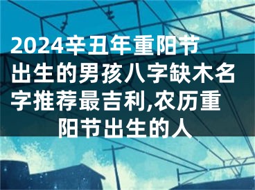 2024辛丑年重阳节出生的男孩八字缺木名字推荐最吉利,农历重阳节出生的人