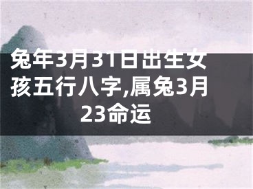 兔年3月31日出生女孩五行八字,属兔3月23命运