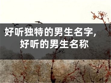 好听独特的男生名字,好听的男生名称
