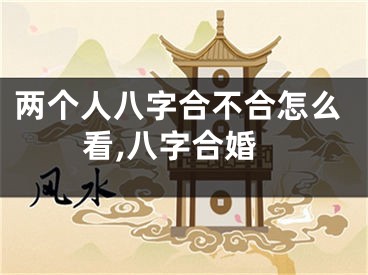 两个人八字合不合怎么看,八字合婚